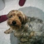 konto-snapchat-julka18