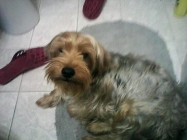 konto-snapchat-julka18