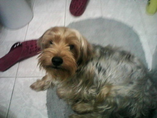 konto-snapchat-julka18